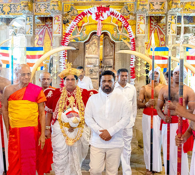 Story Image